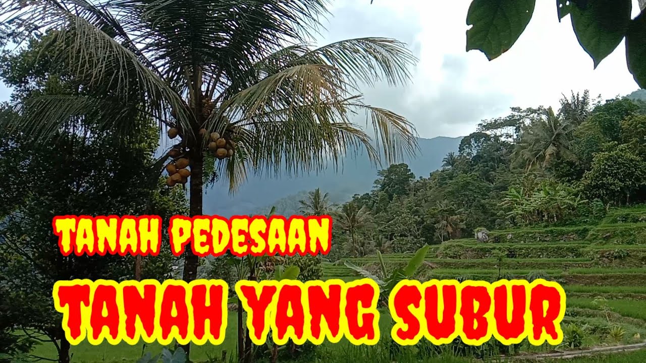 Tanah pedesaan tanah yang subur cocok untuk tanaman@Dbr channel85