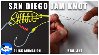San Diego Jam Knot | Animation & Actual Line