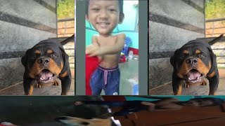 Angry Dog Sound Family Chennel