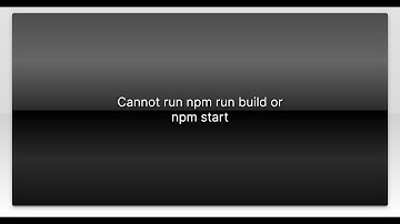 Cannot run npm run build or npm start