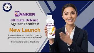Termite Control Pest Control Fumigation Services in Lahore Pakistan