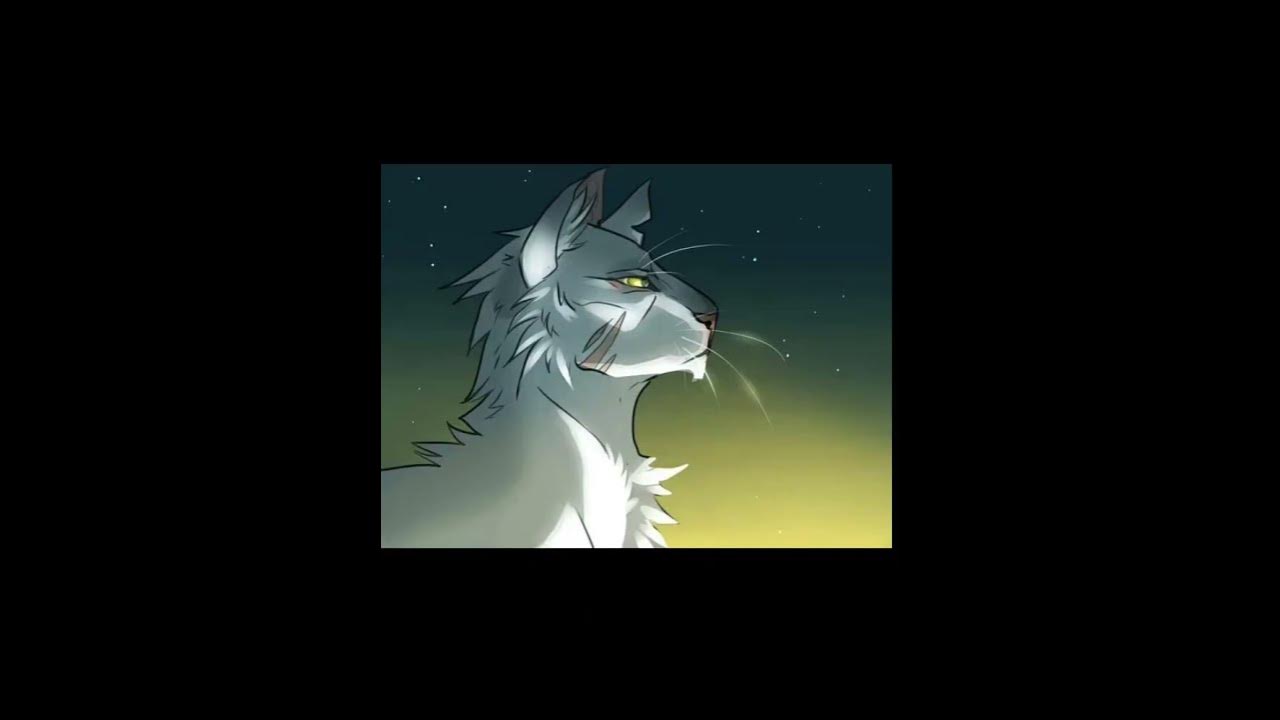 коты ваители - YouTube