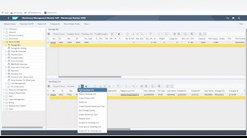 SAP EWM - Printing an HU label #sap #sapewm #SAPTutorial