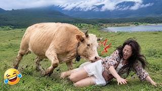 Try Not To Laugh 🤣 Top 100 Funniest Videos Ever | Memes Epic Fails & Pranks Compilation 2026 EP 21