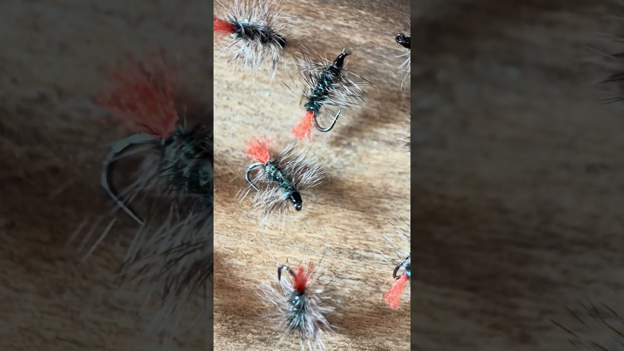 20 pezzi disponibili in promo di pre stagione della Dry Fly Red Tag Variant! Approfittane ora! 🦚❤️