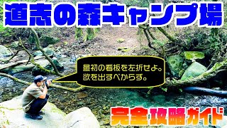 【道志の森キャンプ場】完全攻略ガイド！「おすすめエリア」「周回ルート」を映像・音声付きで徹底解説💡