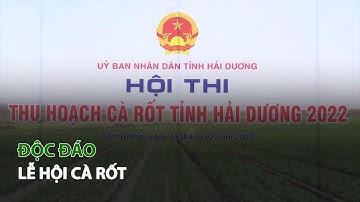 Độc đáo Lễ hội Cà rốt| VTC14