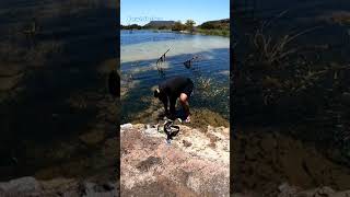 pesca sub #amém #mensagemdefé #jesusteama #oraçãodanoite #amen #jesuslovesyou #fe #pesca #4k