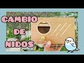 ¿se puede cambiar el nido? | Periquitos Australianos