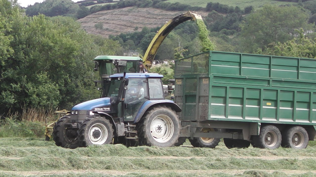 Jerry Moynihan at Silage 2013 Pt5
