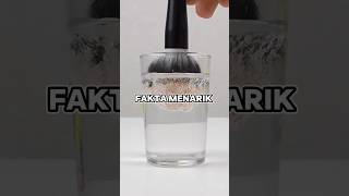 ini dia 5 fakta menarik | #youtubeshorts #faktamenarik