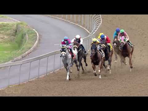 20211213 Hollywoodbets Greyville express clip Race 3 won by SNIPER SHOT