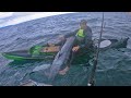 MARLIN CAUGHT FROM A KAYAK in New Zealand