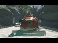 【スプラトゥーン レイダース】「仕入れの砂浜」プレイ動画