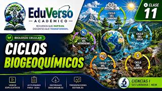 Ciclos Biogeoquimicos