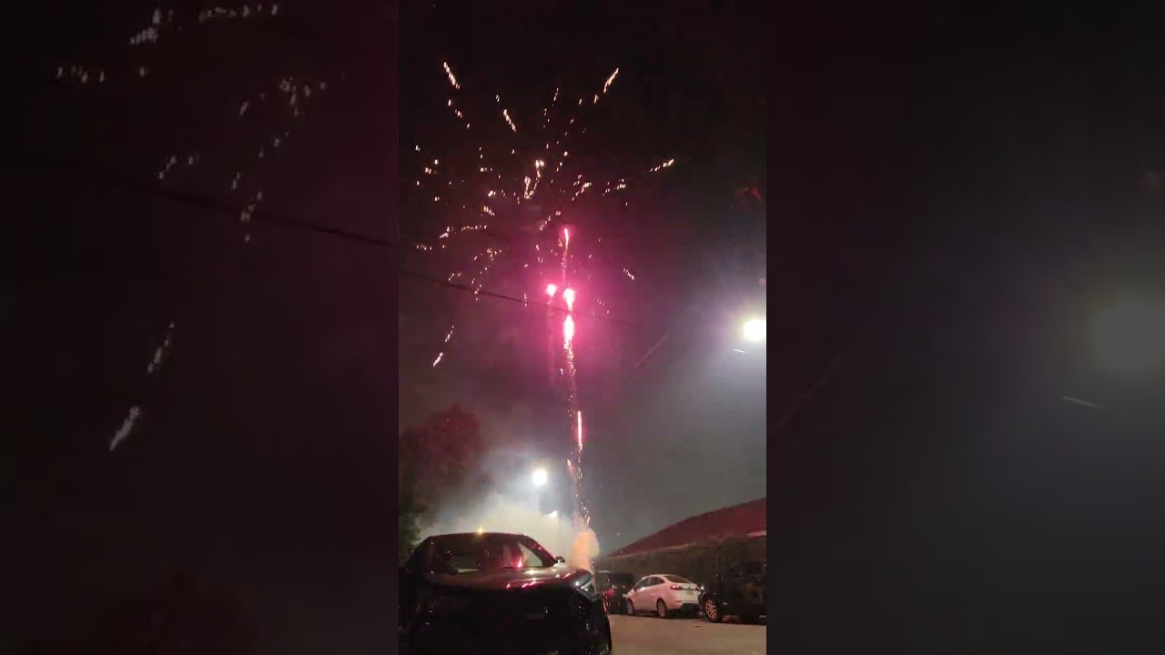 wild'e 284 shots fireworks