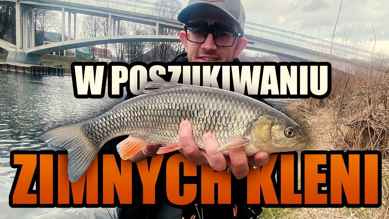 Jak Łowić Klenie Zimą? Praktyczne Porady na Rzece Poprad 🎣