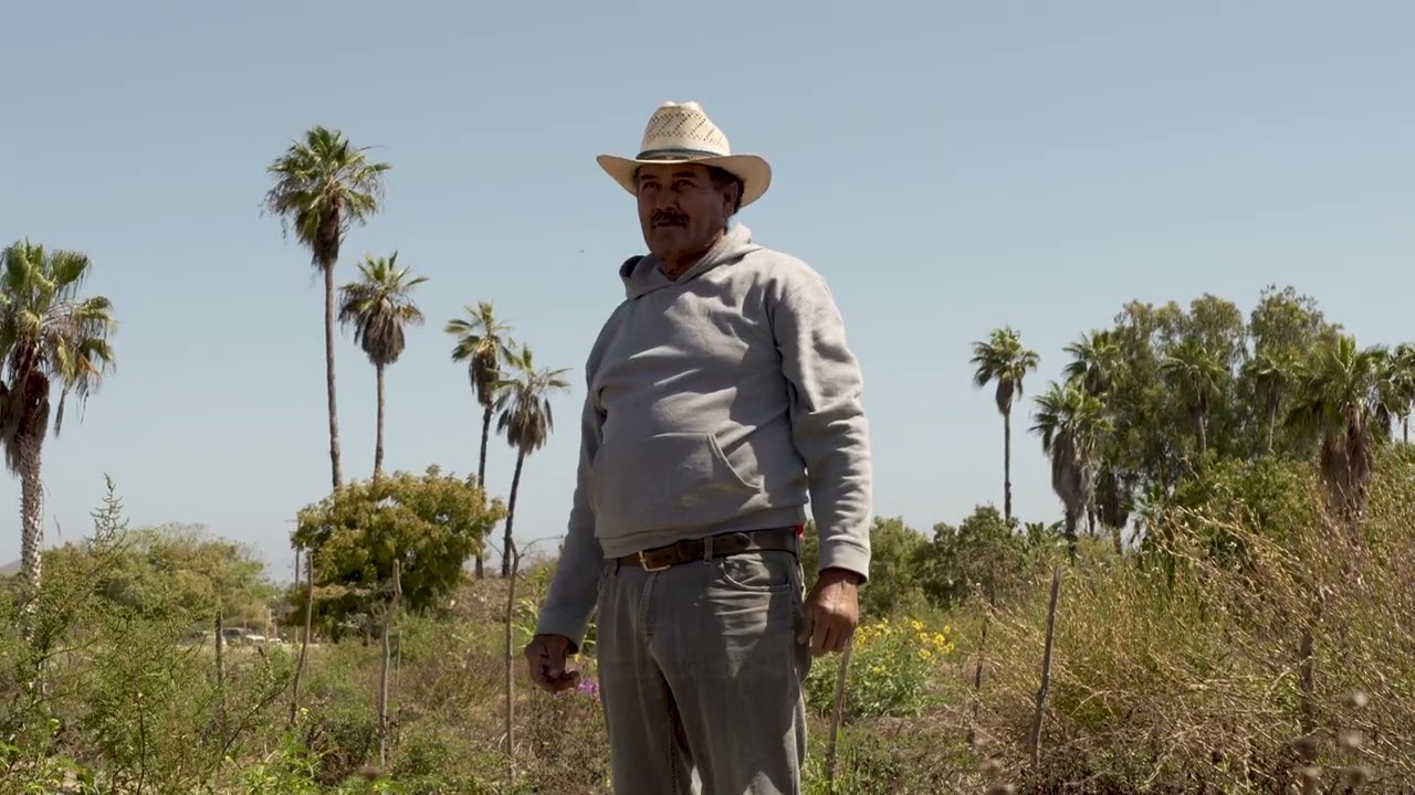 TRIBU — Brand Film