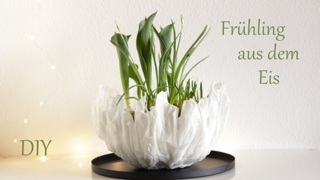 DIY | Frühling aus dem Eis | Schale aus Wachs | Frühlingsdeko mit Frosteffekt | Just Deko