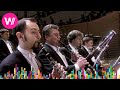 Tchaikovsky  symphony no 5 in e minor op 64 mariinsky theatre orchestra valery gergiev