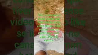 28 De Setembro De 2025