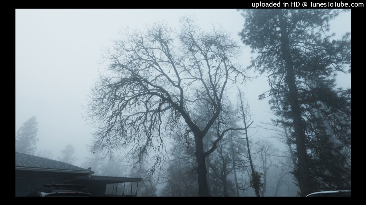 [FREE] Leakionn x HavinMotion Sample Type Beat ~ “It’s Going Down”