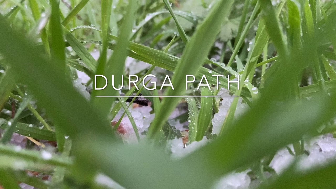 Durga Path Rice Colour Durga Path - YouTube