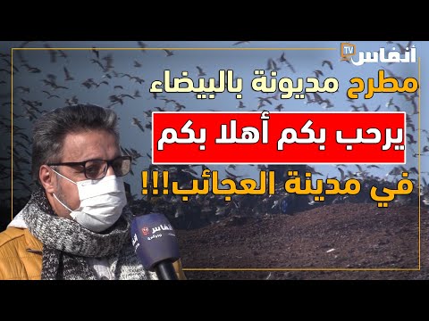 مطرح مديونة بالبيضاء يرحب بكم أهلا بكم في مدينة العجائب