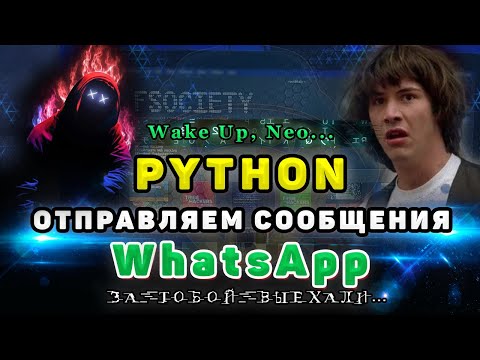 Практика Python | Отправляем сообщения в WhatsApp | Автоматизация WhatsApp