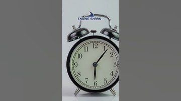 Register Multiple Domains, Effortlessly | EngineShark Makes It Simple