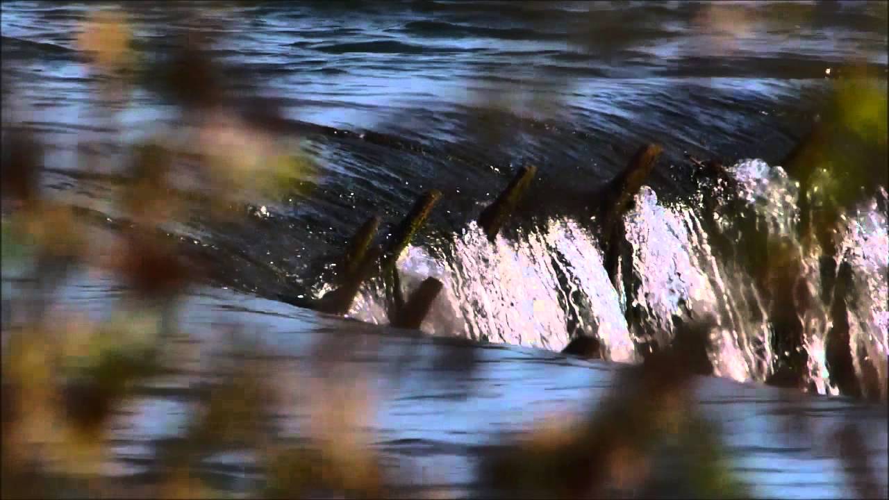 Lake "Lippe See" video by Dominique Pierre Paulin