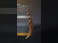 GIFT BOX и RIVAL CASE #веля #standoff2 #стандофф2 #csgo #рекомендации #ксго #стендофф2 #standoff