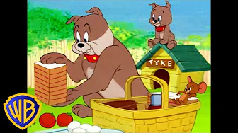 Picknick-Spaß | Tom und Jerry auf Deutsch 🇩🇪 | @WBKidsDeutschland