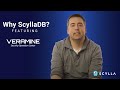 Veramine on ScyllaDB