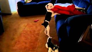 camera 102.avi