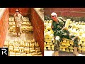 Soldiers Accidentally Find Over $100 Million In Gold