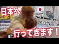 日本へ行ってきます！一時帰国、久しぶりの日本の家族との再会。