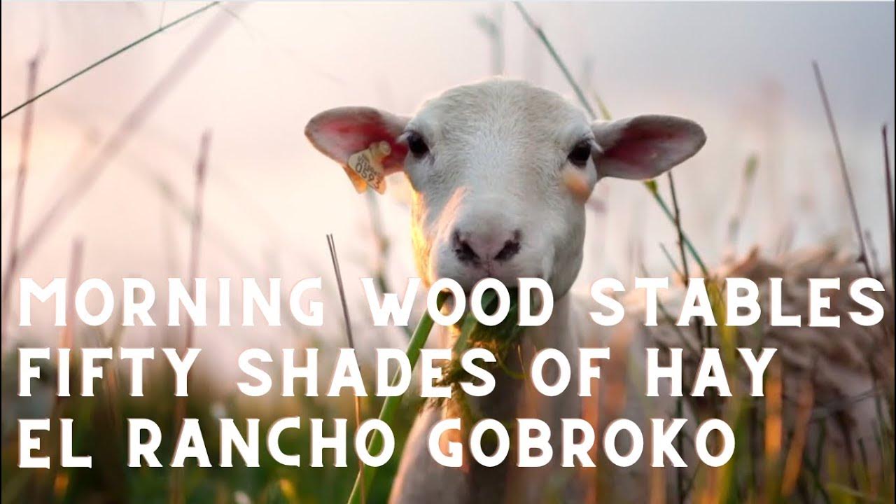 top-27-best-funny-farm-names-ready-for-fifty-shades-of-hay-youtube