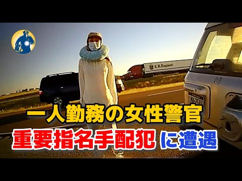 職務質問シリーズ - YouTube