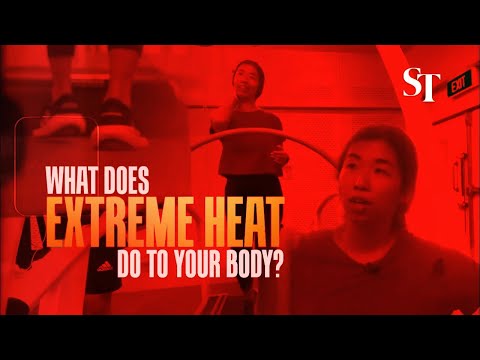 Lab experiment: What