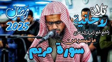 جمال الصوت وتأمل الآيات | ما تيسر من سورة مريم للشيخ شيخ أبو بكر الشاطري - رمضان 1446/ 2025