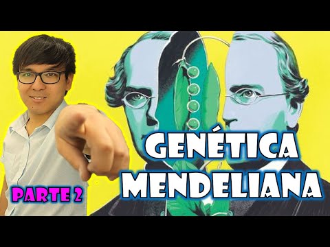 [ BIOLOGIA FREE ] - GENETICA MENDELIANA II 👉😍🌿
