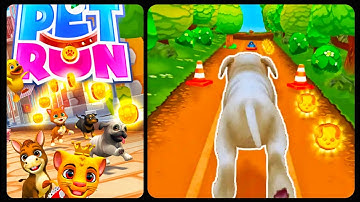 Pet Run - New Updated Running Gameplay Walkthrough All Levels Part 1 (android, iOS)