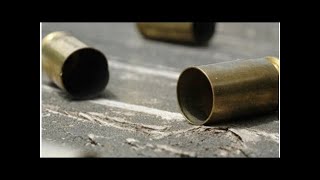 Delegado Aposentado E Filha São Baleados Em Tentativa De Alto