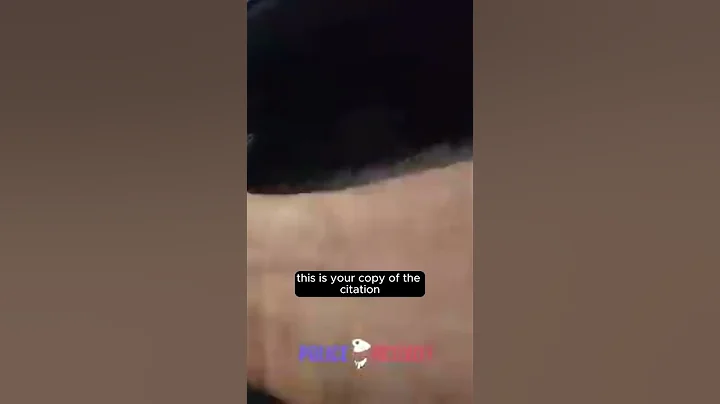 🚨 Georgia Police Officer Pulls Over Chief Deputy for Speeding – Shocking Traffic Stop! 🚔⚠️