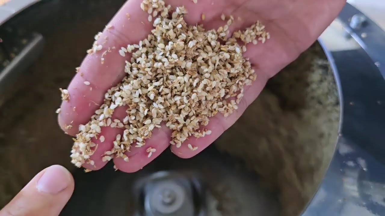 Markoomtech Peeling K3 Brazilian Sesame