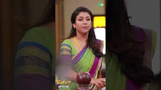 Iniya Serial  Ep 117  5  Alya Manasa  shorts  ytshorts youtubeshorts