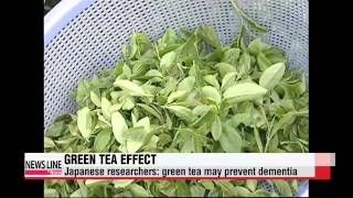 Japanese research team: green tea can prevent dementia