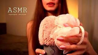 Satisfying Sponge ASMR — Tingly & Relaxing 🧽