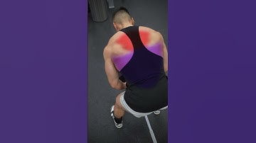 Landmine Row Variations (KNOW THE DIFFERENCE!)